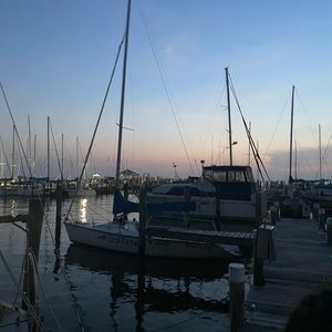 Meet your Posher, Bella